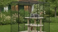 Freigehege im Garten mit einer Britisch Kurzhaar auf der Plattform