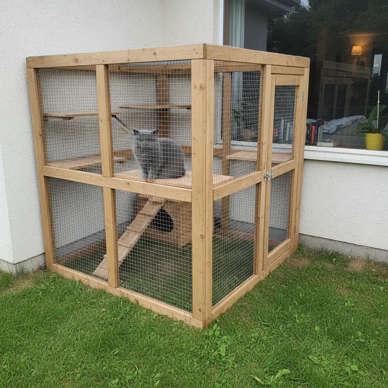Holz-Katzengehege mit Drahtgitter an der Hauswand, eine graue Britisch Kurzhaar sitzt drinnen auf einer Plattform