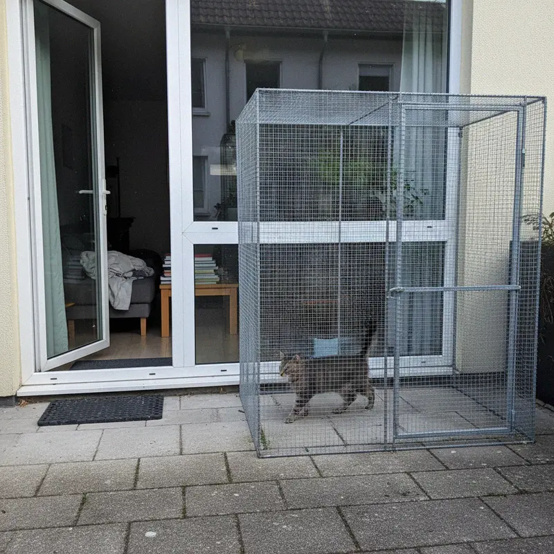Begehbares Gitter-Katzengehege mit Dach auf einer gepflasterten Terrasse, eine Katze läuft darin